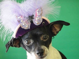 Light Purple Feather, Silver Butterfly Purple Hat - Cat or Dog - Posh Puppy Boutique