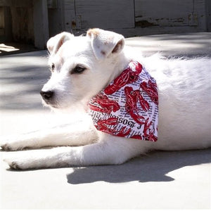 Lobster Fest! Dog Bandana - Posh Puppy Boutique