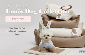 9 Top-Selling Dog Sweaters  Shoppers Love for Fall