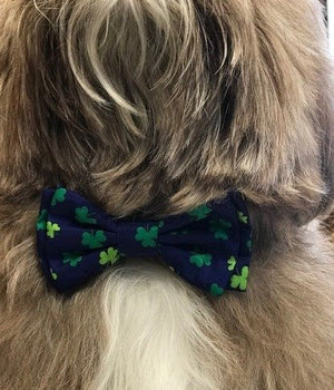 Lucky Bow Tie - Posh Puppy Boutique