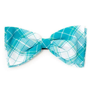 Madras Plaid Turquoise/White Bow Tie - Posh Puppy Boutique