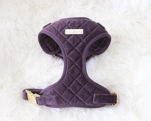 Maggie and Co. Velvet Collection: The Susana Harness - Posh Puppy Boutique