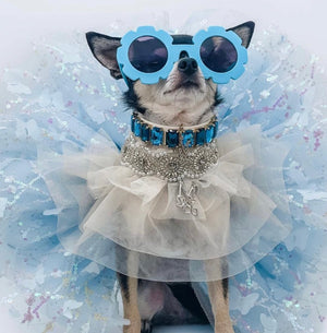 Maggie and Co. Whimsical Wedding Collection: The Duchess - Posh Puppy Boutique