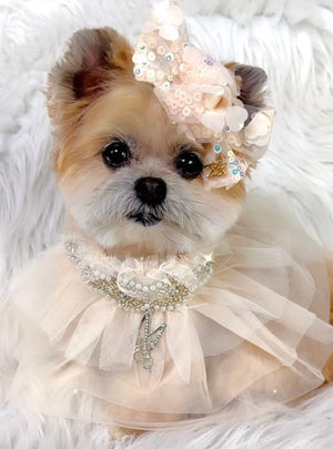 Maggie and Co. Whimsical Wedding Collection: The Duchess - Posh Puppy Boutique