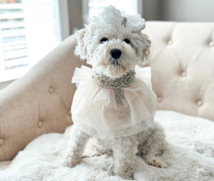 Maggie and Co. Whimsical Wedding Collection: The Duchess - Posh Puppy Boutique