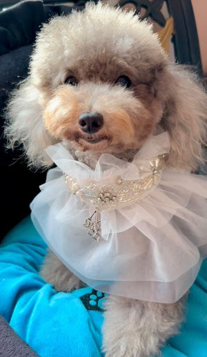 Maggie and Co. Whimsical Wedding Collection: White Swan - Posh Puppy Boutique