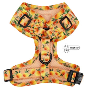 Mango Tango Adjustable Harness - Posh Puppy Boutique