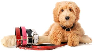 Manhattan Patent Leather Leash - Pink - Posh Puppy Boutique