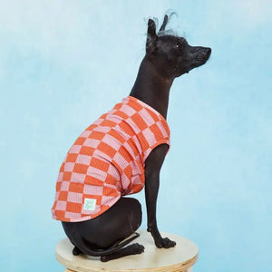 Marmalade Pet Tank with Matching Human Dress - Posh Puppy Boutique