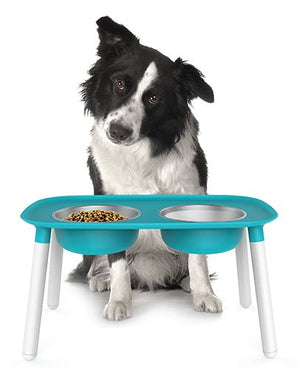 Messy Mutts - Elevated Feeder in Many Colors - Posh Puppy Boutique