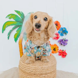 Mickey Mouse Dog Hawaiian Shirt - Posh Puppy Boutique