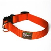 Mimi Green Pumpkin Webbing Dog Collar - Posh Puppy Boutique