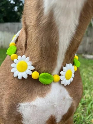 Miss Daisy Beaded Pet Collar - Posh Puppy Boutique