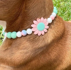 Miss Gerbera Beaded Pet Collar - Posh Puppy Boutique