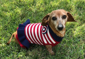 Miss Liberty Patriotic Sweater - Posh Puppy Boutique