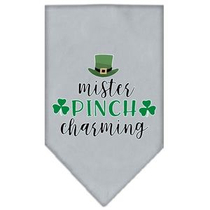 Mister Pinch Charming Screen Print Bandana in Many Colors - Posh Puppy Boutique