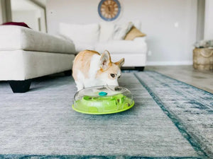 Nina Ottosson Wobble Slow Feeder Bowl Dog Game Blue/Green - Posh Puppy Boutique