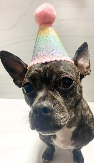 Ombré Sparkle Party Hat - Posh Puppy Boutique