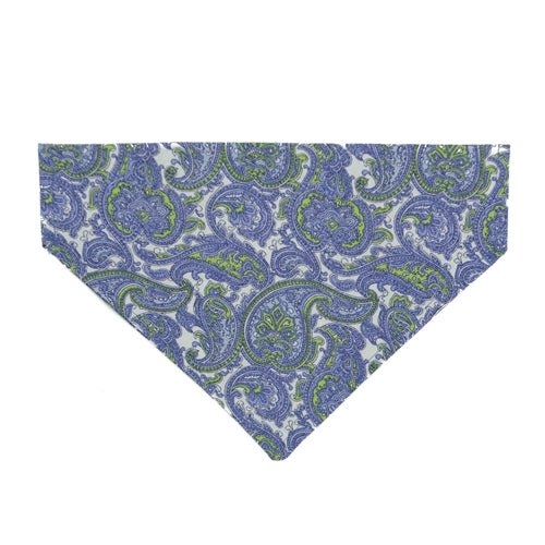 Paisley 'licious Dog Bandana