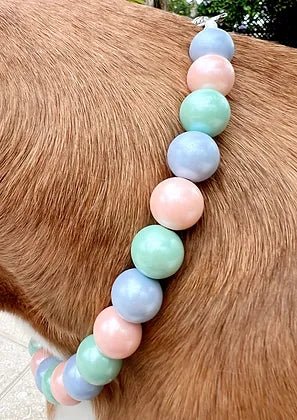 Pastel Glam Pet Collar - Posh Puppy Boutique