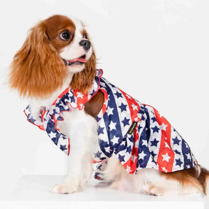 Patriotic Stars & Stripes Dress - Posh Puppy Boutique