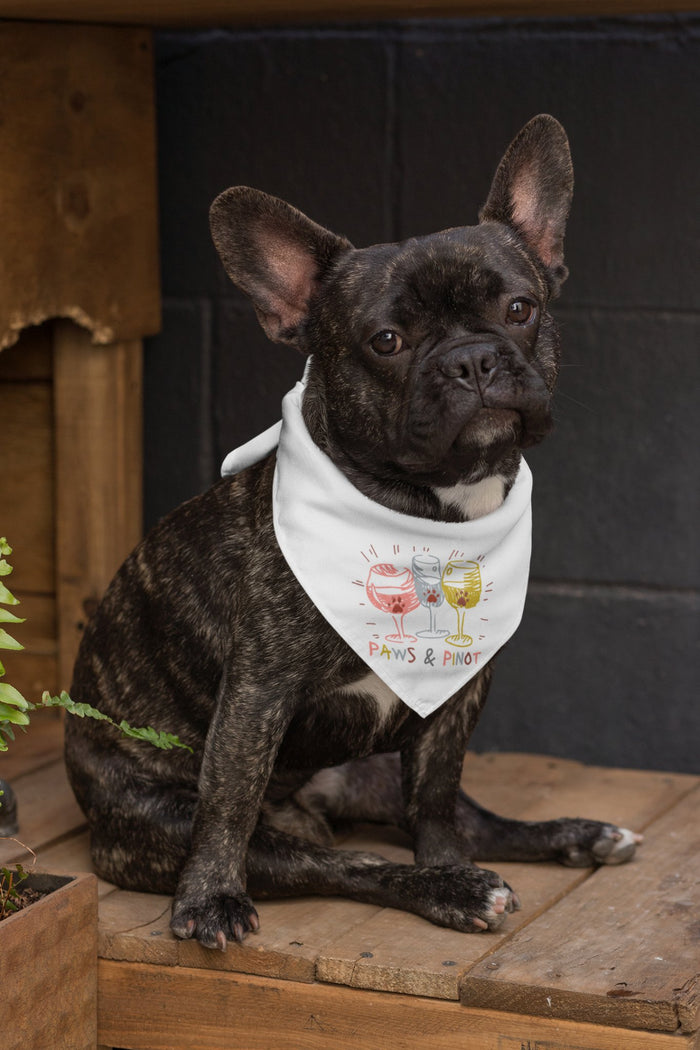 Paws & Pinot Bandana