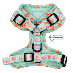 Peach Please Adjustable Harness - Posh Puppy Boutique