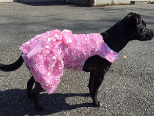 Pink Bouquet Dress - Posh Puppy Boutique