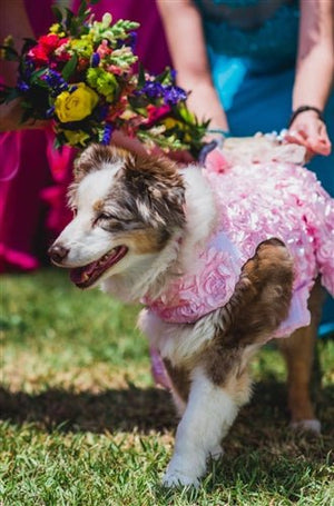 Pink Bouquet Dress - Posh Puppy Boutique