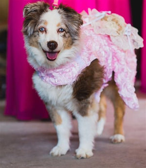 Pink Bouquet Dress - Posh Puppy Boutique