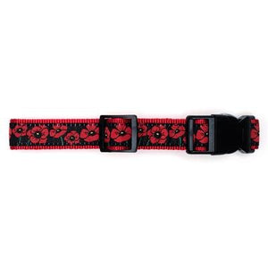 Poppies Collar & Lead Collection - Posh Puppy Boutique