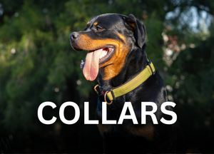 Posh Pup: The Chicest Pieces for Your Dog's Wardrobe  Louis vuitton dog  collar, Baxter dog, Designer dog collars