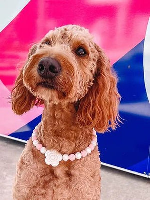 Pretty in Pink with Flower Pet Collar - Posh Puppy Boutique