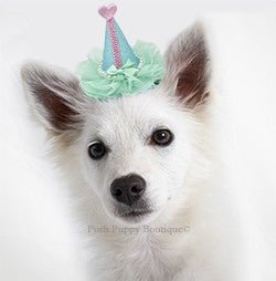 Pretty Party Hat Pearl - Wrapped Clip - on - Light Pink - Posh Puppy Boutique