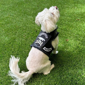 Pups of Anarchy - Faux Leather Harness - Posh Puppy Boutique