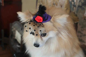 Purple Mini Hat with Veil - Posh Puppy Boutique