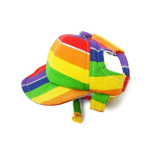 Rainbow Hat - Posh Puppy Boutique