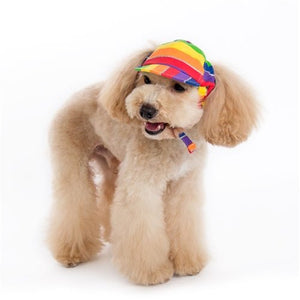 Rainbow Hat - Posh Puppy Boutique