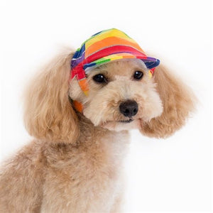 Rainbow Hat - Posh Puppy Boutique