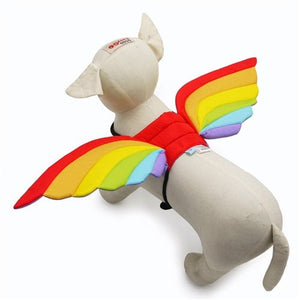 Rainbow Wings - Posh Puppy Boutique