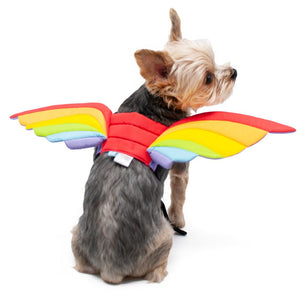 Rainbow Wings - Posh Puppy Boutique