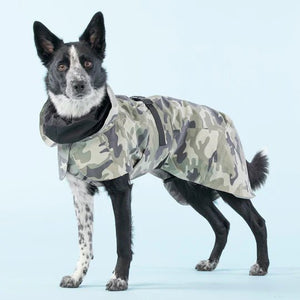 Recovery Raincoat in Camo - Posh Puppy Boutique