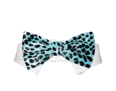 Roberto Velvet Bow Tie Collar - Aqua