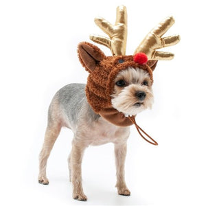 Rudolph Hat in Brown - Posh Puppy Boutique