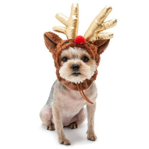 Rudolph Hat in Brown - Posh Puppy Boutique