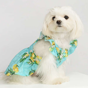 Ruffle Sleeves Sundress in Blue - Posh Puppy Boutique