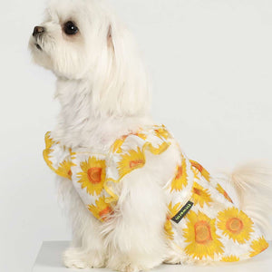 Ruffle Sleeves Sundress in Yellow - Posh Puppy Boutique