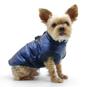 Runner Coat Metallic Blue - Posh Puppy Boutique