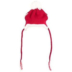 Santa Hat - Posh Puppy Boutique