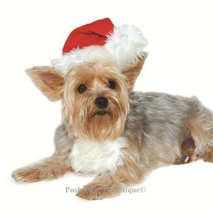 Santa Hat - Posh Puppy Boutique